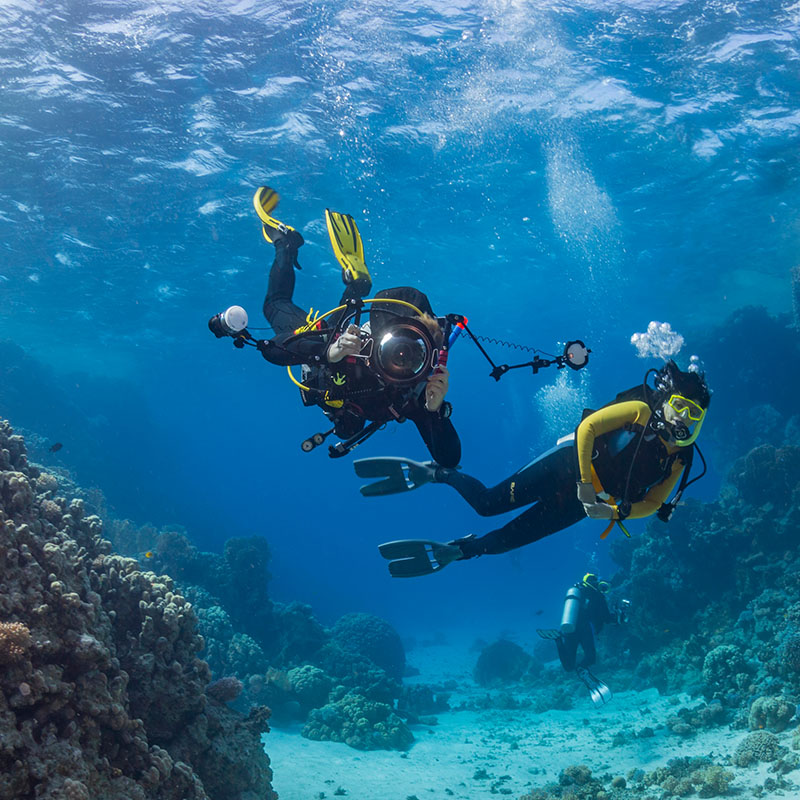 Baptême de plongée à La Réunion avec Bleu Marine