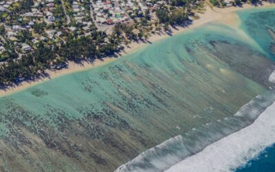 Quand plonger à La Réunion ? Le guide mois par mois