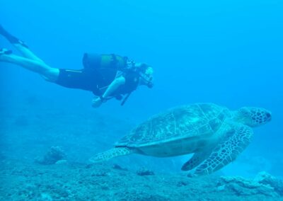 Plongée sous-marine à La Réunion avec Bleu Marine
