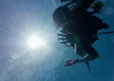 Plongée sous-marine à La Réunion avec Bleu Marine