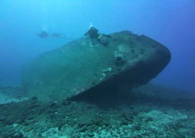 Plongée sous-marine à La Réunion avec Bleu Marine
