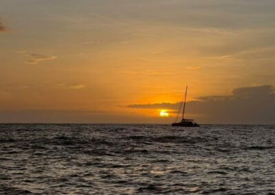 Plongée sous-marine à La Réunion avec Bleu Marine